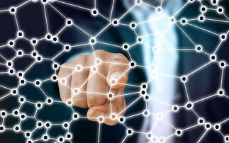 AC Milan-中国篮球职业联赛市场竞争策略分析，我国篮球职业联赛