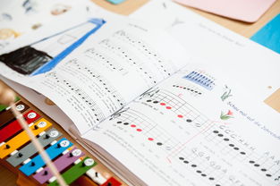 米兰全站app登录app-中小学体育课安全教育实施现状研究，体育课堂安全背景下的小学体育课现状